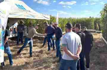 Primato realiza Dia de Campo Milho Safrinha com otimismo diante da maior safra da história